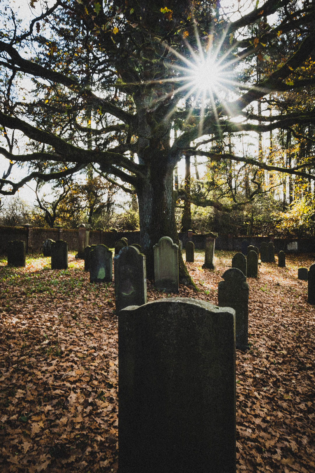 Breidenbach, Jüdischer Friedhof
